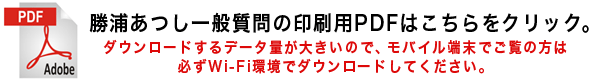 一般質問印刷用PDFダウンロード